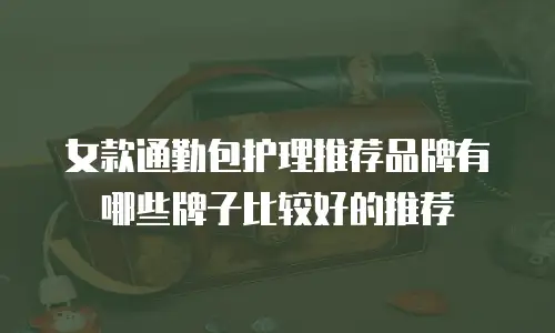 女款通勤包护理推荐品牌有哪些牌子比较好的推荐
