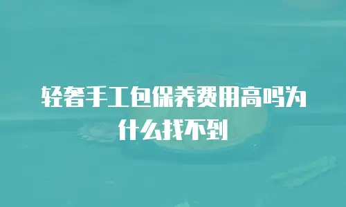 轻奢手工包保养费用高吗为什么找不到