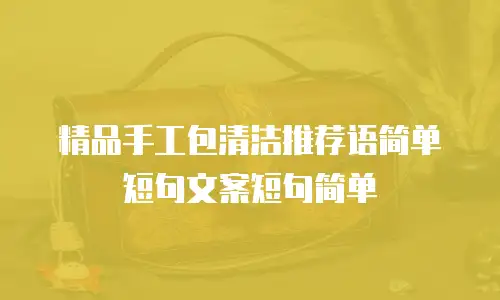 精品手工包清洁推荐语简单短句文案短句简单