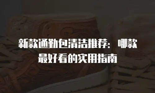 新款通勤包清洁推荐：哪款最好看的实用指南