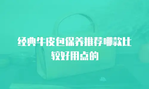经典牛皮包保养推荐哪款比较好用点的