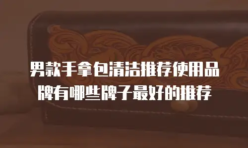 男款手拿包清洁推荐使用品牌有哪些牌子最好的推荐