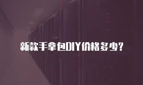 新款手拿包DIY价格多少？