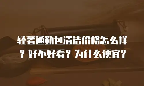 轻奢通勤包清洁价格怎么样？好不好看？为什么便宜？