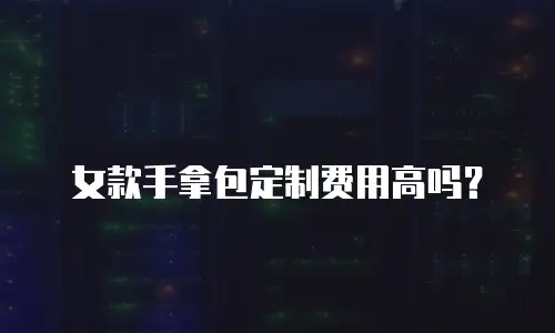 女款手拿包定制费用高吗？