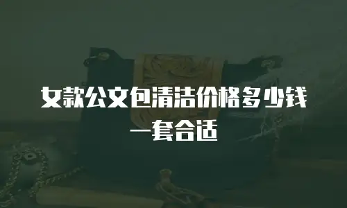 女款公文包清洁价格多少钱一套合适