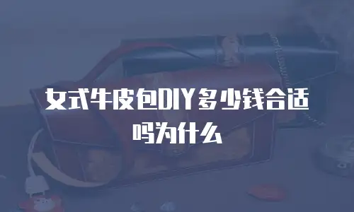 女式牛皮包DIY多少钱合适吗为什么