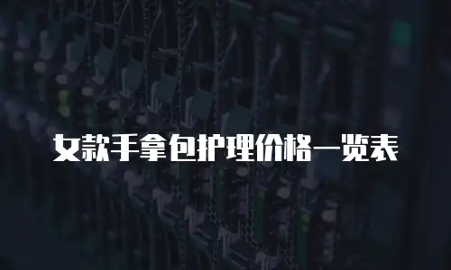 女款手拿包护理价格一览表