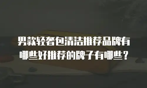 男款轻奢包清洁推荐品牌有哪些好推荐的牌子有哪些？
