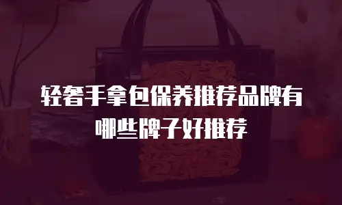 轻奢手拿包保养推荐品牌有哪些牌子好推荐