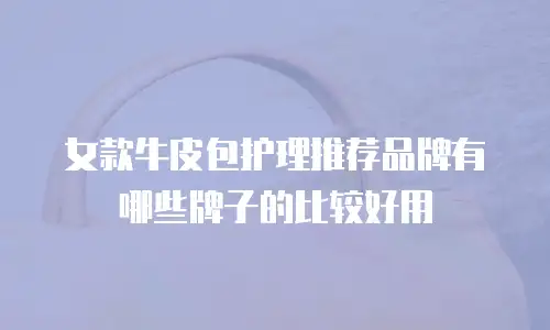 女款牛皮包护理推荐品牌有哪些牌子的比较好用