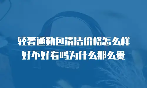 轻奢通勤包清洁价格怎么样好不好看吗为什么那么贵