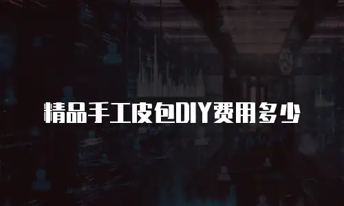 精品手工皮包DIY费用多少