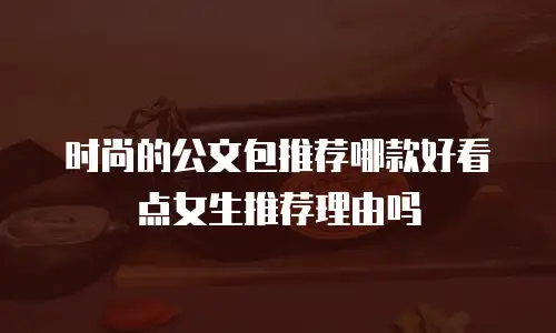 时尚的公文包推荐哪款好看点女生推荐理由吗