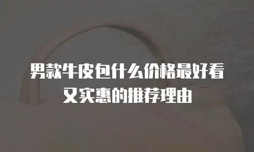 男款牛皮包什么价格最好看又实惠的推荐理由
