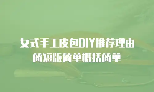 女式手工皮包DIY推荐理由简短版简单概括简单