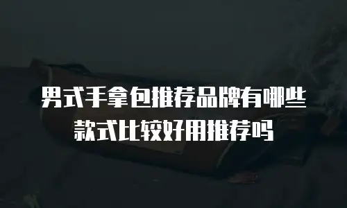 男式手拿包推荐品牌有哪些款式比较好用推荐吗