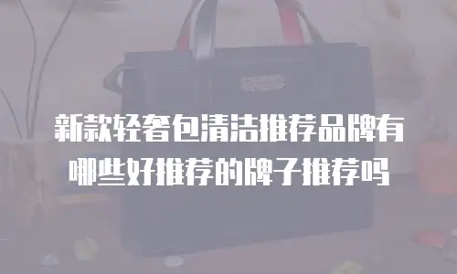 新款轻奢包清洁推荐品牌有哪些好推荐的牌子推荐吗