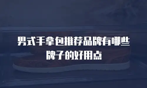 男式手拿包推荐品牌有哪些牌子的好用点