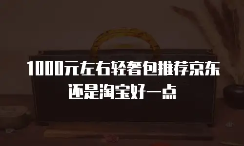 1000元左右轻奢包推荐京东还是淘宝好一点