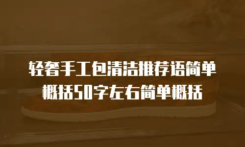 轻奢手工包清洁推荐语简单概括50字左右简单概括