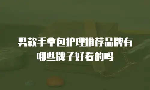 男款手拿包护理推荐品牌有哪些牌子好看的吗