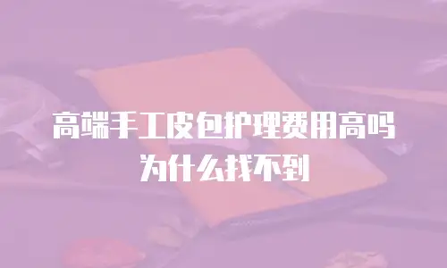 高端手工皮包护理费用高吗为什么找不到