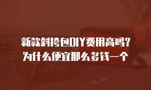 新款斜挎包DIY费用高吗？为什么便宜那么多钱一个