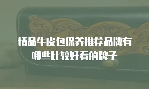精品牛皮包保养推荐品牌有哪些比较好看的牌子