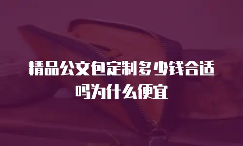 精品公文包定制多少钱合适吗为什么便宜