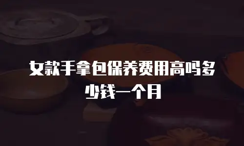女款手拿包保养费用高吗多少钱一个月