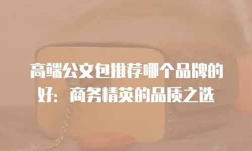 高端公文包推荐哪个品牌的好：商务精英的品质之选