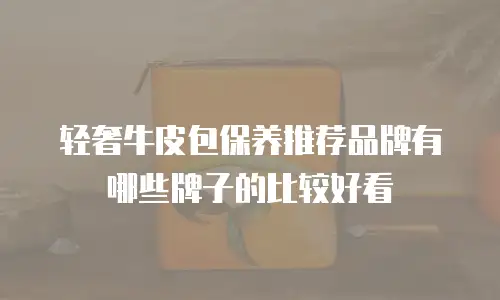 轻奢牛皮包保养推荐品牌有哪些牌子的比较好看