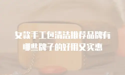 女款手工包清洁推荐品牌有哪些牌子的好用又实惠