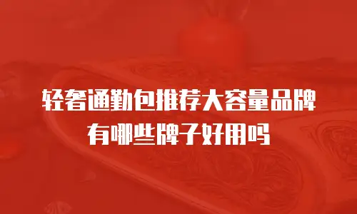 轻奢通勤包推荐大容量品牌有哪些牌子好用吗