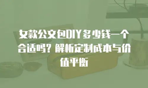 女款公文包DIY多少钱一个合适吗？解析定制成本与价值平衡