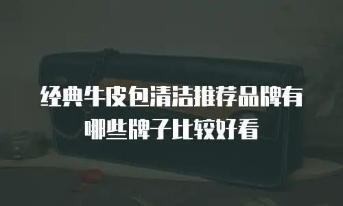 经典牛皮包清洁推荐品牌有哪些牌子比较好看