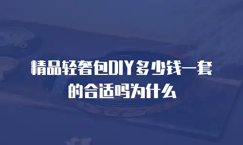 精品轻奢包DIY多少钱一套的合适吗为什么