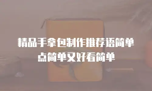 精品手拿包制作推荐语简单点简单又好看简单