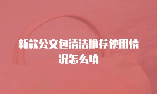 新款公文包清洁推荐使用情况怎么填
