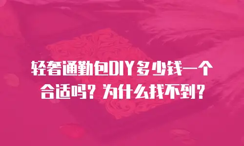 轻奢通勤包DIY多少钱一个合适吗？为什么找不到？