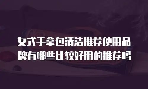 女式手拿包清洁推荐使用品牌有哪些比较好用的推荐吗