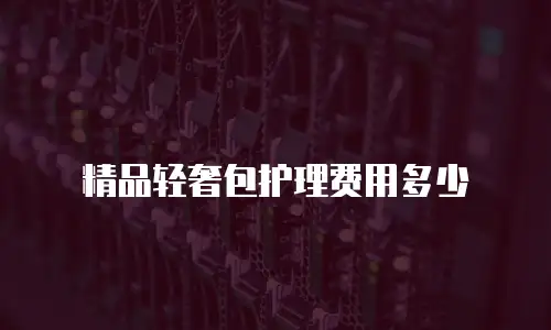 精品轻奢包护理费用多少