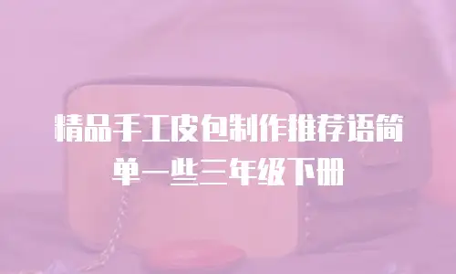 精品手工皮包制作推荐语简单一些三年级下册