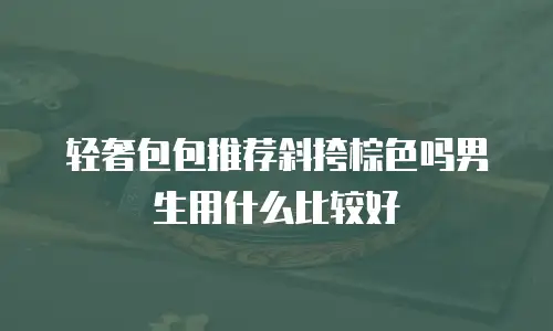 轻奢包包推荐斜挎棕色吗男生用什么比较好