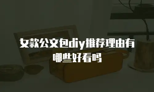 女款公文包diy推荐理由有哪些好看吗