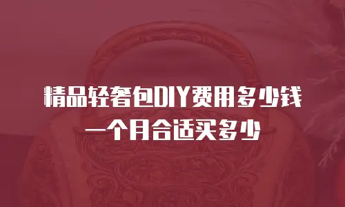 精品轻奢包DIY费用多少钱一个月合适买多少