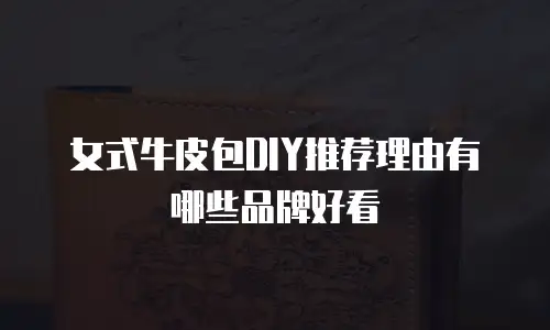 女式牛皮包DIY推荐理由有哪些品牌好看