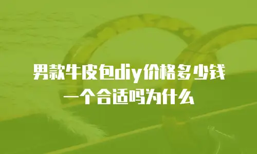 男款牛皮包diy价格多少钱一个合适吗为什么