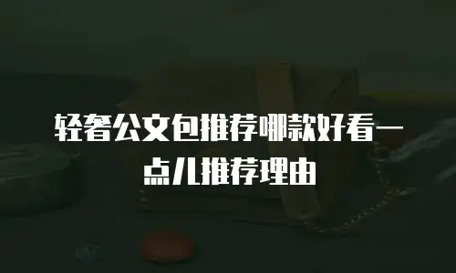 轻奢公文包推荐哪款好看一点儿推荐理由